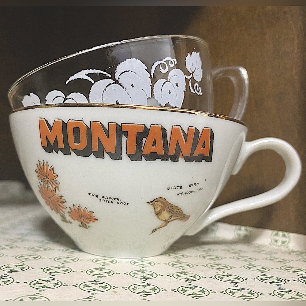 teacup set| Montana state bird & flower| floral clear| vintage tea cup